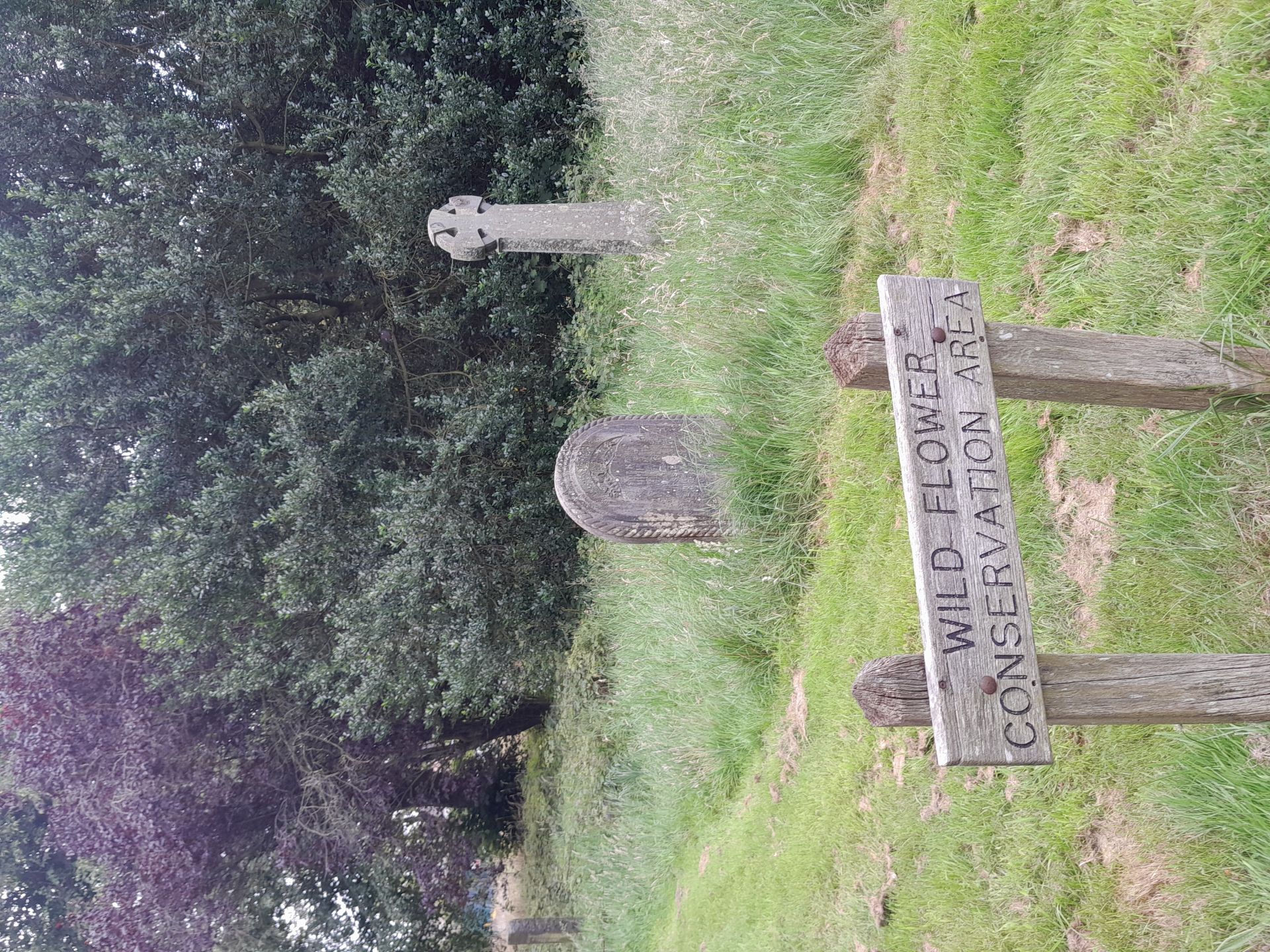 Wildflower flower conservation area sign